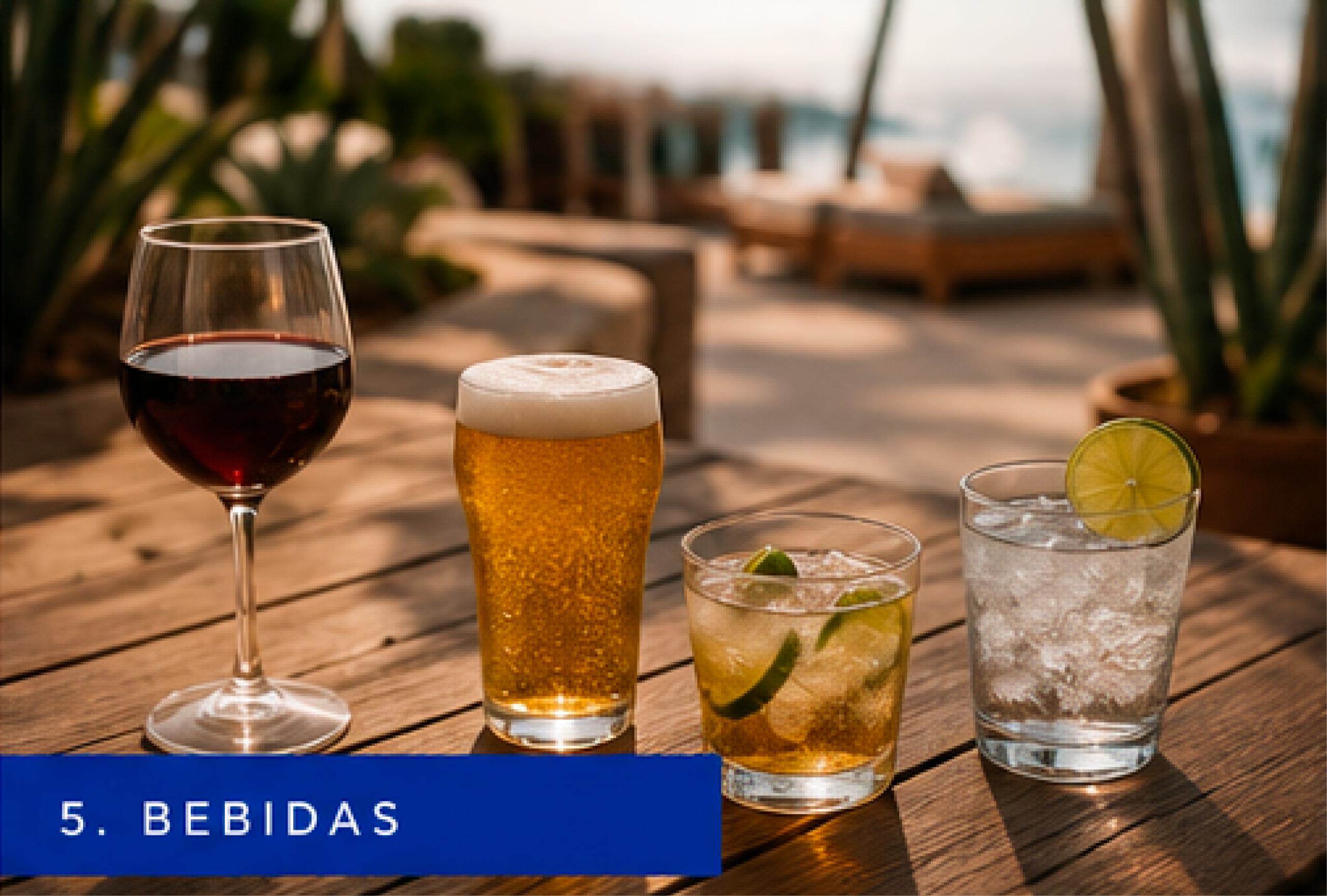 5.- Bebidas